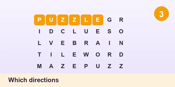 Which directions - Word Search